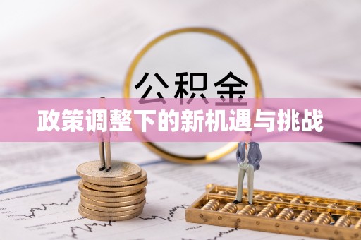 丰镇政策调整下的新机遇与挑战