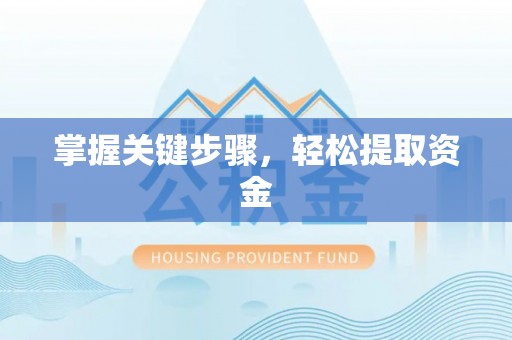 丰镇掌握关键步骤，轻松提取资金