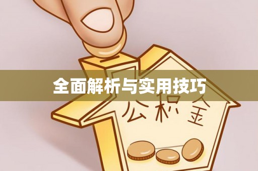 丰镇全面解析与实用技巧