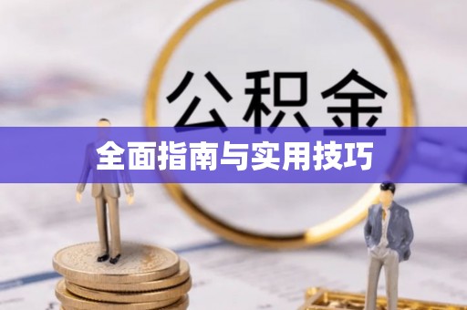 丰镇全面指南与实用技巧