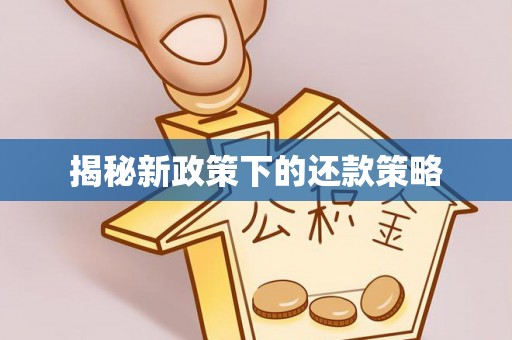 丰镇揭秘新政策下的还款策略