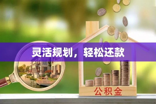 丰镇灵活规划，轻松还款