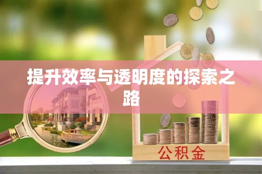 丰镇提升效率与透明度的探索之路