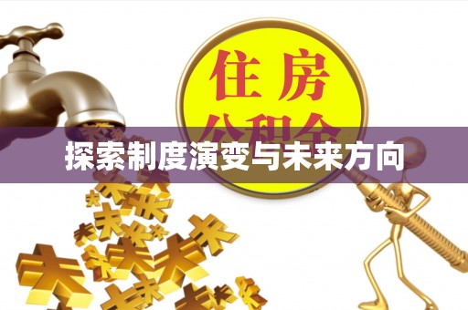 丰镇探索制度演变与未来方向