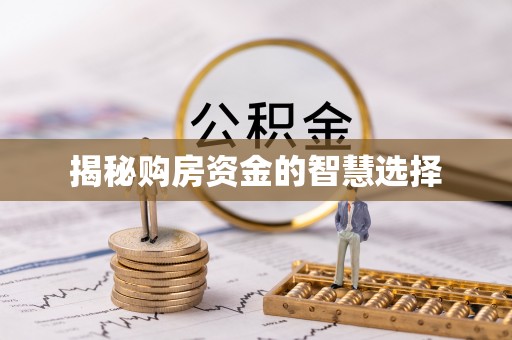 丰镇揭秘购房资金的智慧选择