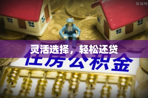 丰镇灵活选择，轻松还贷