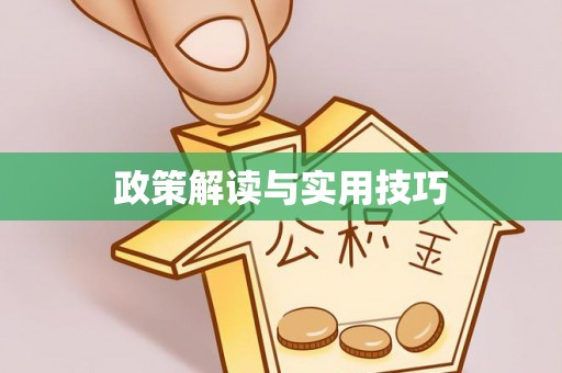 丰镇政策解读与实用技巧