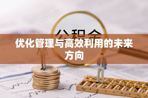 丰镇优化管理与高效利用的未来方向
