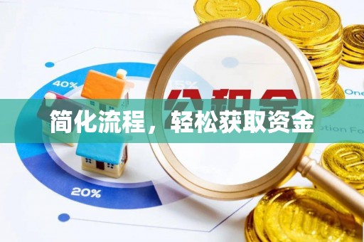 丰镇简化流程，轻松获取资金