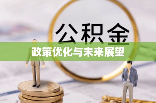 丰镇政策优化与未来展望