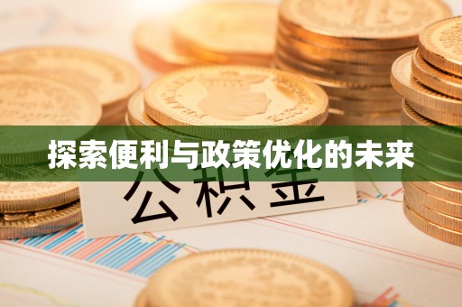 丰镇探索便利与政策优化的未来