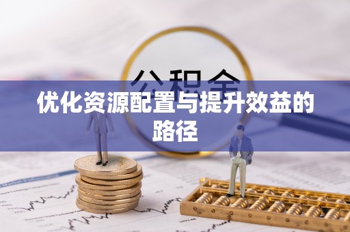 丰镇优化资源配置与提升效益的路径