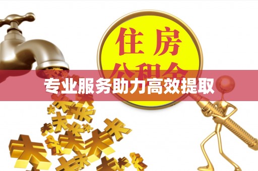 丰镇专业服务助力高效提取