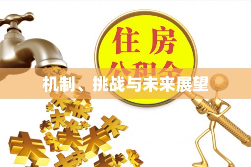 丰镇机制、挑战与未来展望